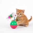 Brinquedo João Bobo para Gato Rato Bolinha com Penas Bola Ratinho colorido