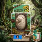 Brinquedo Ovo de Dinossauro Aventura com Ferramenta Escavação Dino Fóssil de Gesso na Caixa Simulação de Arqueologia Amor pela Ciência e Paleontologia