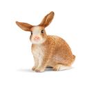 Brinquedo para animais de fazenda Schleich Farm World Bunny Rabbit Kids 3+