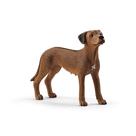 Brinquedo para animais Schleich Farm World Rhodesian Ridgeback há mais de 3 anos Brinquedo para animais Schleich Farm World Rhodesian Ridgeback há mais de 3 anos