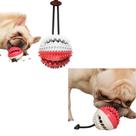 Brinquedo Para Cachorro Bola Multifuncional Escova Mordedor Porta Petisco Pet Ball Bolinha Com Puxador