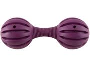 Brinquedo para Cachorro Osso de Borracha Busy Buddy Waggle PetSafe