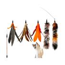 Brinquedo Para Gato De Interior, Refil De Penas, 6 Peças, Penas Naturais De Pássaro, Varinha De