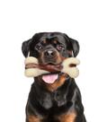 Brinquedo para mastigar cães Tikaton Durable Dentition Bone para mastigadores agressivos