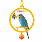 Brinquedo para Pássaros The Pets Brasil Portal Interativo Happy Bird Cores Variadas Brinquedo para Pássaros The Pets Brasil Portal Interativo Happy Bird Cores Variadas