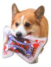 Brinquedo Pet Para Cachorro De Carta Emite Som De Jornal Top