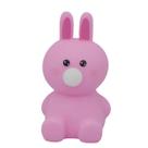 Brinquedo Pinch Rabbit Portable Relieve Stress Interactive T