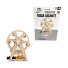 Brinquedo Roda Gigante Novo Cientista Nettoy Brinquedo Roda Gigante Novo Cientista Nettoy
