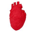 Brinquedo Stress Ball Scary Organ Heart Squeeze de silicone 15x8x8cm