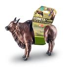 Brinquedo Touro Marrom Realista Cometa Farm R177