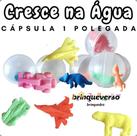 Brinquedos Cresce na Água. Kit 30 Unidades para Lembrancinhas. Brinquedo Barato. Brinquedos Cresce na Água. Kit 30 Unidades para Lembrancinhas. Brinquedo Barato.