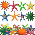 Brinquedos de mergulho para piscina YUJUN Big Colorful Starfish para crianças, 16 unidades