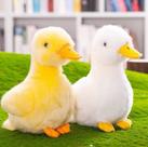 Brinquedos de pelúcia Backlood Toys, pato amarelo pequeno de 8 polegadas Brinquedos de pelúcia Backlood Toys, pato amarelo pequeno de 8 polegadas