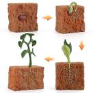 Brinquedos de sopro de bolhas ciclo de crescimento de plantas terno de exploração científica simulação em miniatura modelo de planta crianças s cedo
