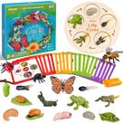 Brinquedos educativos de aprendizagem do ciclo de vida JoyCat com animais insetos