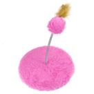 Brinquedos Para Gatos Interativo Diversos Modelos Yan Pet