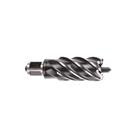 Broca anelar 19mm x 50mm 4932343294 milwaukee