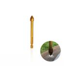 Broca de 8 Mm Em Aço Rápido Revestida de Titânio Com Haste Sextavada Para Vidro Ctc-01608100 Ctpohr Broca de 8 Mm Em Aço Rápido Revestida de Titânio Com Haste Sextavada Para Vidro Ctc-01608100 Ctpohr