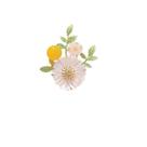 Broche de flor de margarida encantadora com miçanga amarela e folha verde