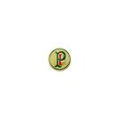 Broche do Palmeiras Palestra Itália Pin Botton Original