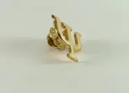 Broche Psicologia Folheado a Ouro 18k Broche Psicologia Folheado a Ouro 18k