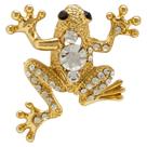 Broche Strass Sapo BRG0046