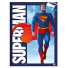 Brochurão C.D. 80 Fls Animativa - Superman 1