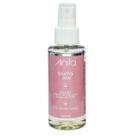 Bruma Fixadora Incolor 100ml - Anita Bruma Fixadora Incolor 100ml - Anita