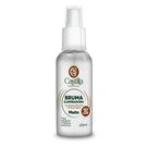 Bruma Iluminadora Castilla 120mL Fixação, Hidratação e Glow com Aloe Vera, Pêssego ou Pitaya