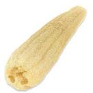 Bucha Bob / Esponja Vegetal - 2.5gr De Sementes