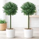 Bucho Buchinho Planta Artificial Decoração De 80cm Kit 2pçs