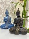 Buda meditação
