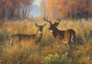 Buffalo Games Abraham Hunter - Orgullosa Pareja - Rompecabezas de 300 Piezas 54x38 cm