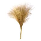 Buque Capim Cabelo Natural Liso Arranjo Decoração Arranjos