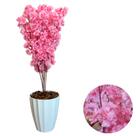 Buque de Cerejeira Com Vaso Facetado Completo 95cm Decoração - Rosa