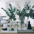 Buquê de Eucalipto Decor Sala Quarto I Flores Desidratadas