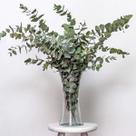 Buquê de Eucalipto Decoração Grande I Flores Desidratadas