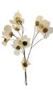 Buquê de Flor com Folha Esqueletizada Buquê de Flor com Folha Esqueletizada