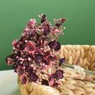 Buquê de Flor de Gypsophila Artificial Marsala Formosinha