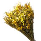 Buque De Flor Seca Estrelinha Presente Decoração - Amarelo