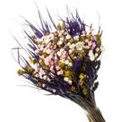 Buque De Flor Seca Estrelinha Presente Decoração - Roxo