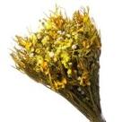 Buque De Flor Seca Estrelinha - Variações