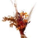 Buque de Flor Secas Desidratada Mix de Bougainville laranja