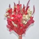Buquê de flores desidratadas vermelho decoração