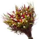 Buque de Flores Seca Rabo de Coelho Gato Variados Decorar