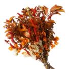 Buque de Flores Secas Carne de Vaca laranja Bougainville