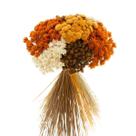 Buque de Flores Secas De Pé Laranja