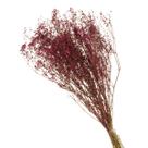 Buque de Flores Secas Gypsofila Roxo