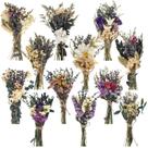 Buquê de flores secas Layhit Mini Wedding feito à mão, pacote com 12