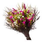 Buque de Flores Secas Rabo de Coelho Gato Pink Decorar